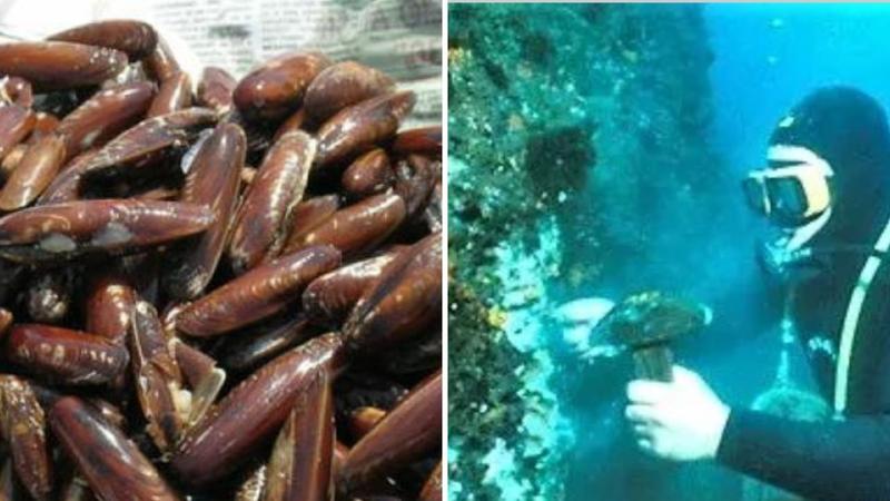 Processo ai Â«datterariÂ»Â della Penisola sorrentina, altre cinque condanneÂ a 7 anni ed una assoluzione