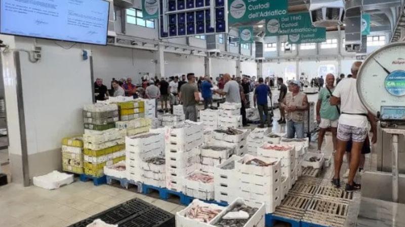 Rubano 700mila euro di pesce dall'aziendaÂ in cui lavorano: scoperti oltre 220 furti