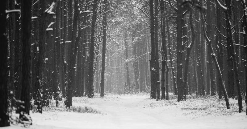 What Winter Can Teach Us About Burnout and Self-Care