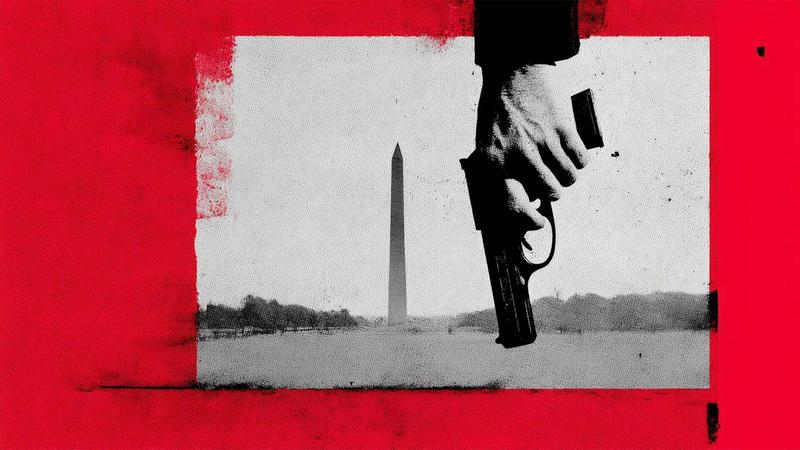Good News for D.C.'s Gun Owners