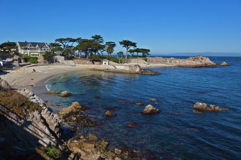 'A shark was involved': Missing Monterey swimmer ID'd
