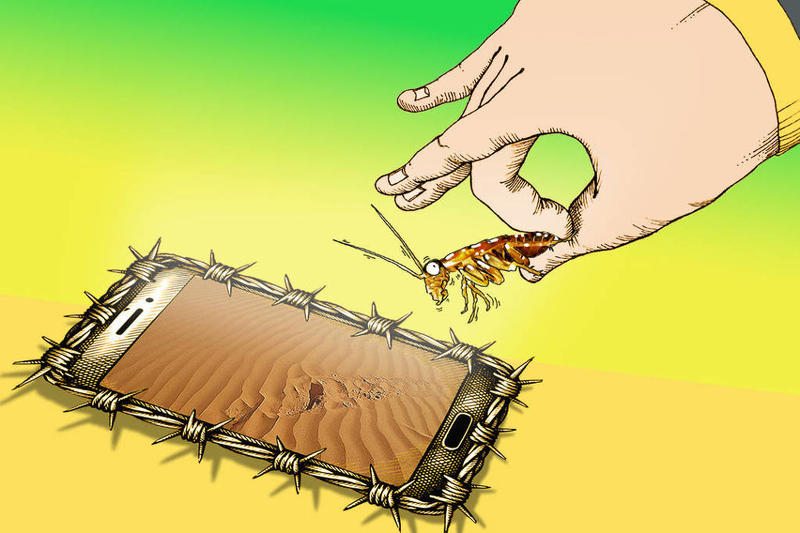 Seis motivos para ter boas lembranças de 2025