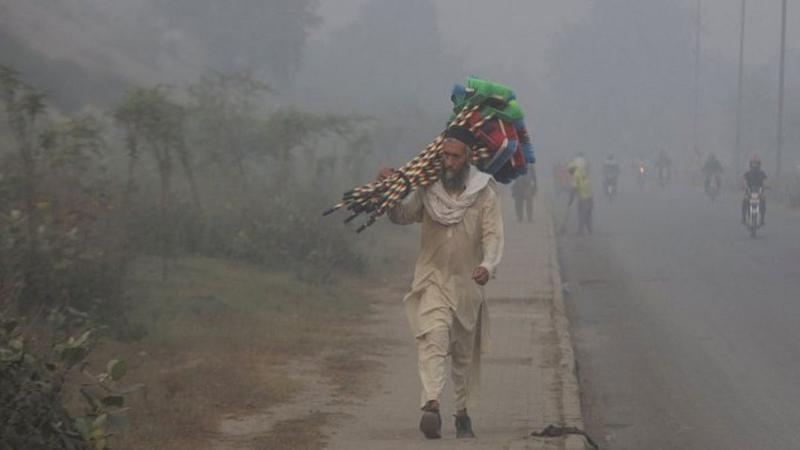 Basic Requirement For Growth: A Fresh Mind And Healthy Lungs