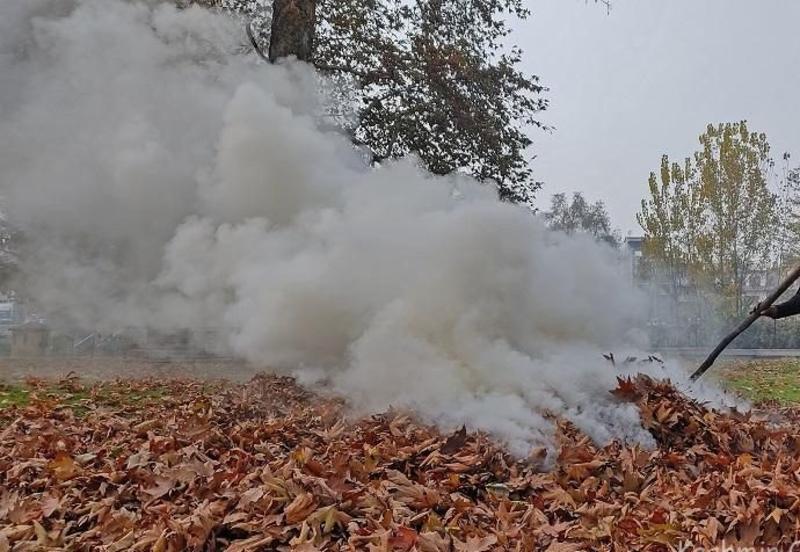 Waste Burning Continues as Kashmir’s AQI Drops