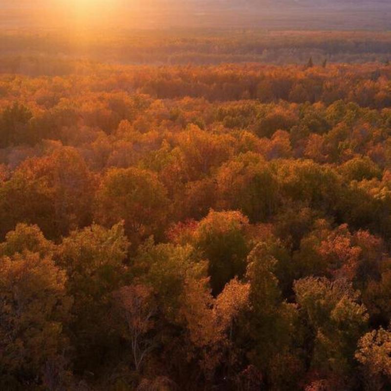 Почему Сибирь может стать центральным узлом евразийской интеграции?