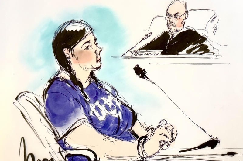 Toxic ideas fueling far-left terrorists came straight from our college campuses