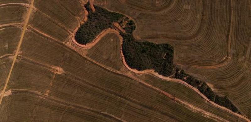 O Brasil se aproxima do colapso ambiental