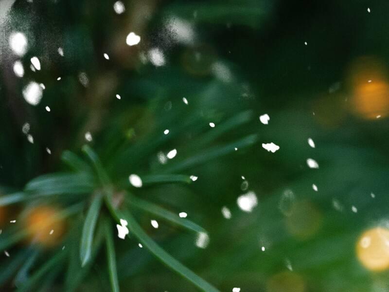 C’était un 24 décembre pas comme les autres...