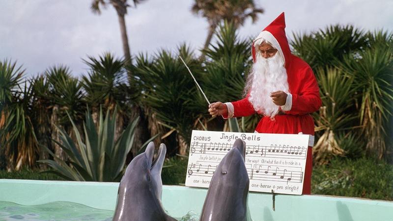 A–Z | Und was singen Sie an Weihnachten?