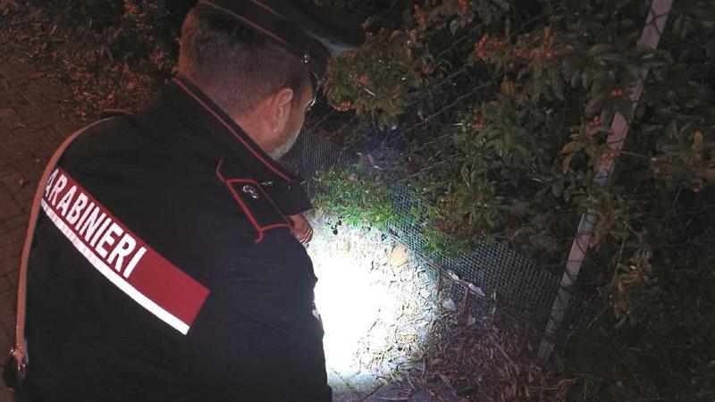 Pedone travolto e ucciso a Casalgrande, si cerca il conducente 