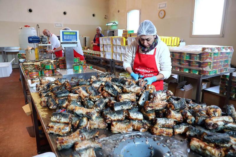 Anguilla regina indiscussa di Comacchio: venduti 12 quintali in poche ore