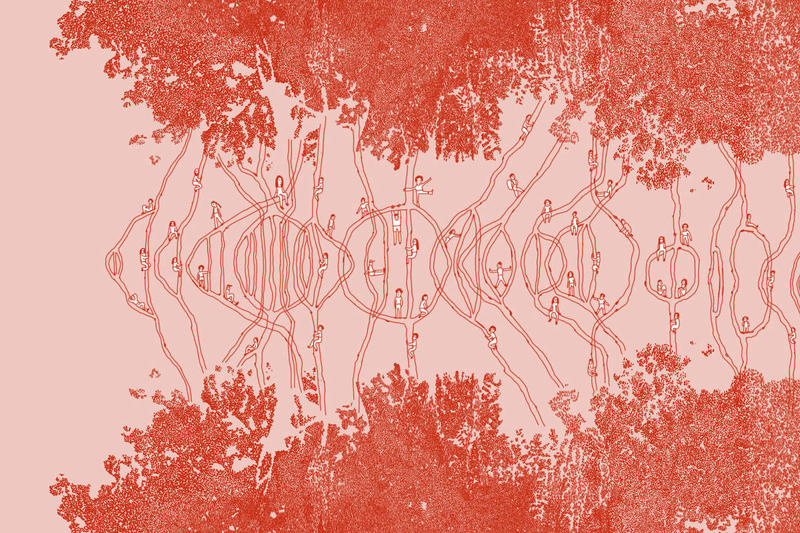 Quando a Amazônia encontra o mar