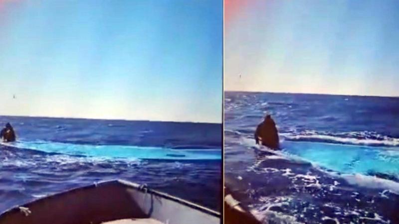 Strage di migranti al largo della Libia: “116 morti, un solo superstite”