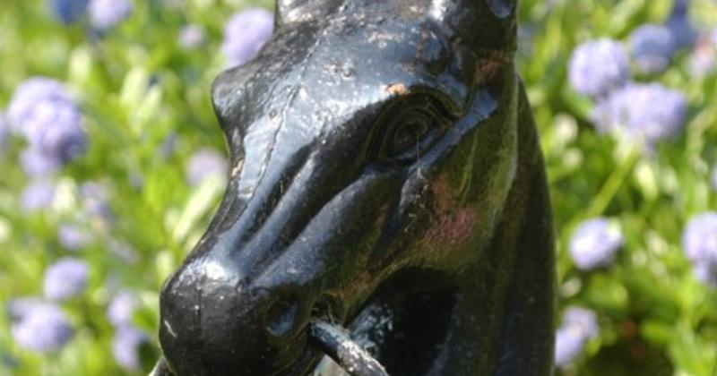 Horse head stolen from home