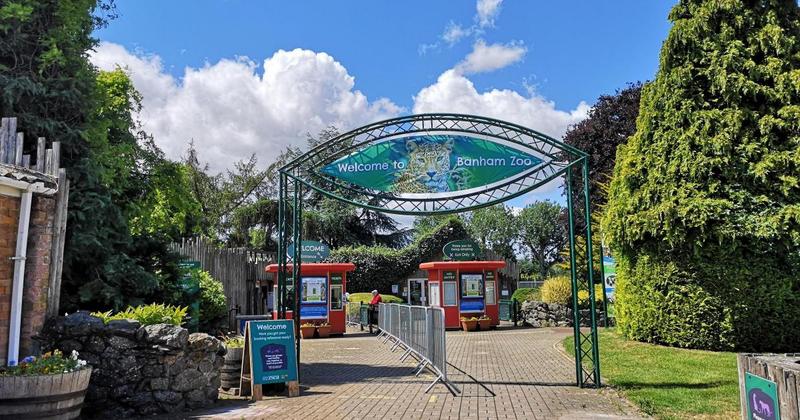 'Much-loved' animal dies at zoo