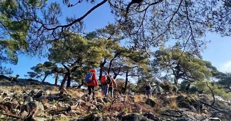 Χριστουγεννιάτικη πεζοπορία στο μαγευτικό δάσος του Κρούστα από τον Ορειβατικό Σύλλογο Αγίου Νικολάου