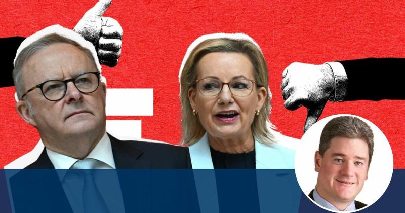 How an opposition determined to fail handed Albanese many easy wins How an opposition determined to fail handed Albanese many easy wins