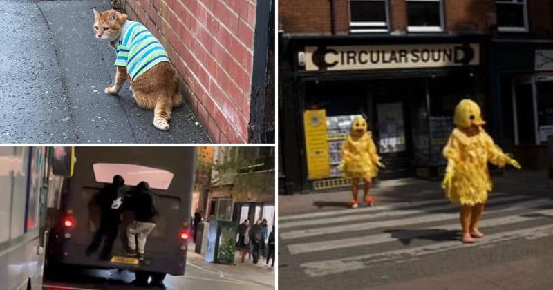 The weirdest and most wonderful sights captured in Norwich this year