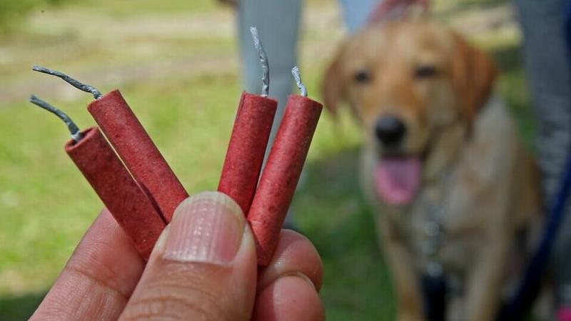 U 300 beogradskih škola edukacija o opasnostima od petardi
