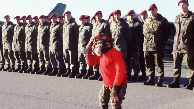 Ole Nymoen: „Wehrpflicht heißt, im Ernstfall für den Staat zu sterben. Ich rate davon ab“ Ole Nymoen: „Wehrpflicht heißt, im Ernstfall für den Staat zu sterben. Ich rate davon ab“