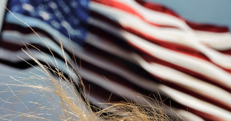 Sick of Trump News? I’m Here for You.