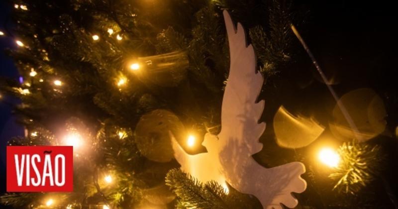 Eu cá ligo muito ao Natal!