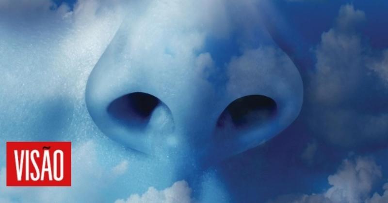 Uma ideia subversiva: o ar é de todos