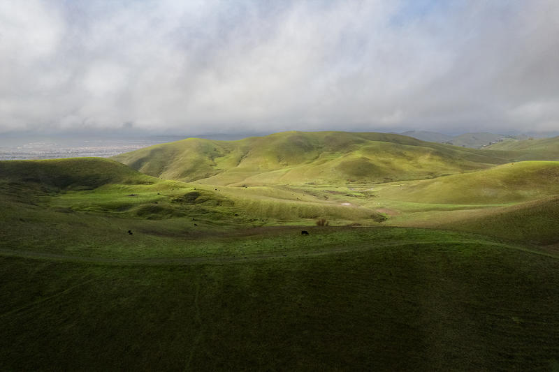 Murder in the skies: How an ex-Olympian crashed a full flight to SFO