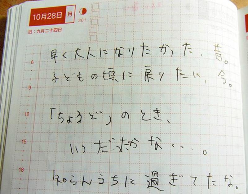 VOX POPULI: I'm making my new year wish in an old-fashioned paper planner