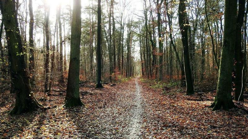 Kräfte sammeln zwischen den Jahren : In der Stille liegt die Kraft