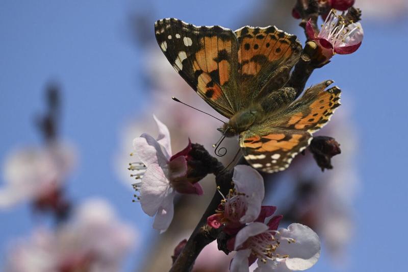 Science Still Made Incredible Breakthroughs While Under Attack