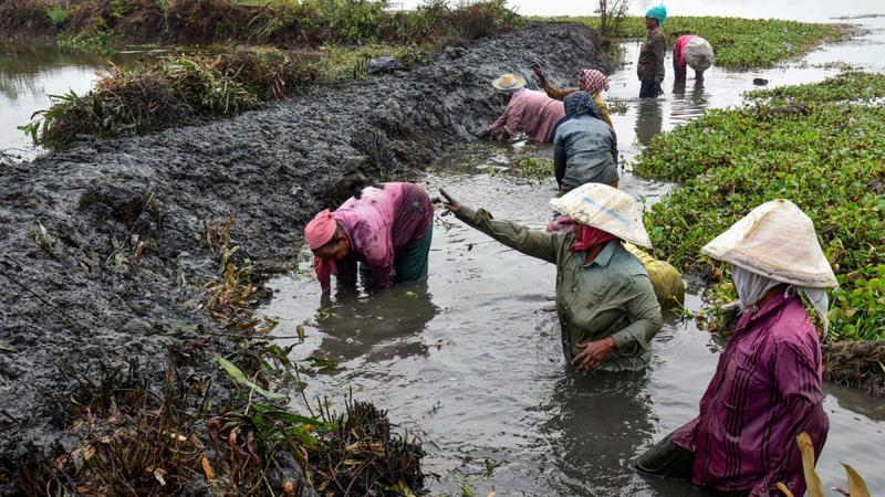 Opinion | From Right To Guarantee: Rethinking Rural Employment After MGNREGA