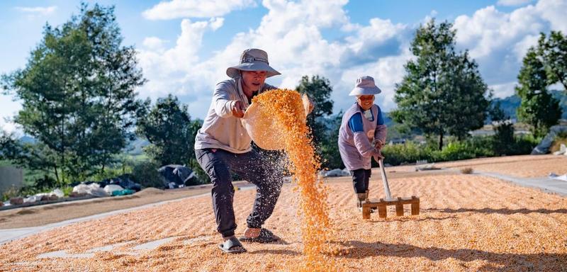 Alívio da pobreza na China sob risco?