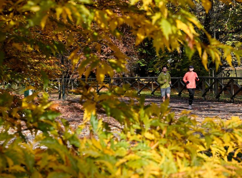 Bewegung braucht keinen Fitnessvertrag oder neue Leggings Bewegung braucht keinen Fitnessvertrag oder neue Leggings