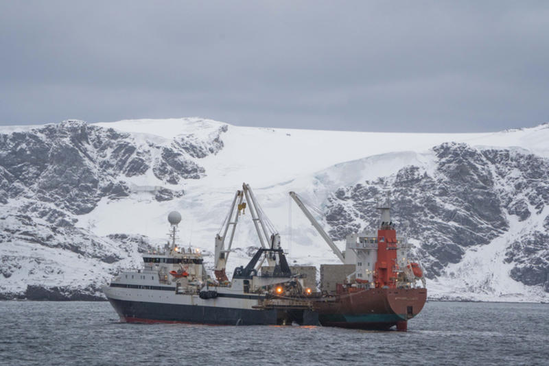 The battle for Antarctic krill is about to get uglier