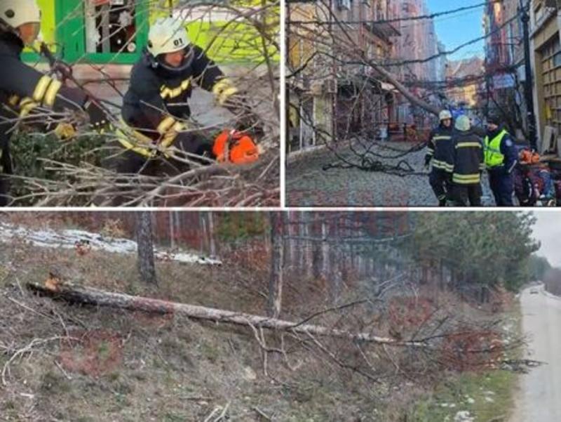Паднали дървета и ураганен вятър, но пътищата в Бургас, Ямбол и Сливен остават проходими