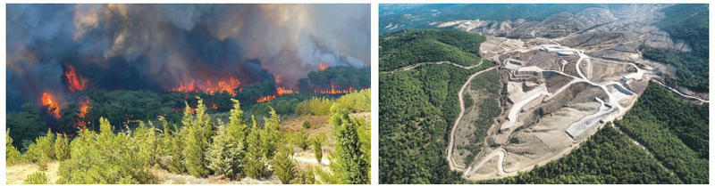 TEMA Vakfı'ndan 2025 yılının doğa karnesi: %26 daha az yağış, 81 bin hektar kül TEMA Vakfı'ndan 2025 yılının doğa karnesi: %26 daha az yağış, 81 bin hektar kül