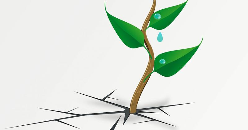 Breaking Through Plateaus in Self-Improvement