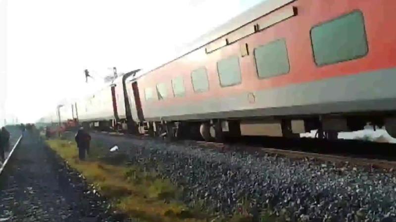 Opinion | An ‘Elephantine’ Problem The Government Is Trying To Deal With