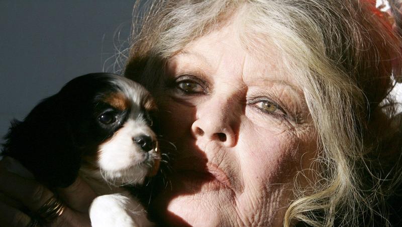 Petar Peca Popović povodom odlaska Brižit Bardo: Video sam Parižanku u Parizu