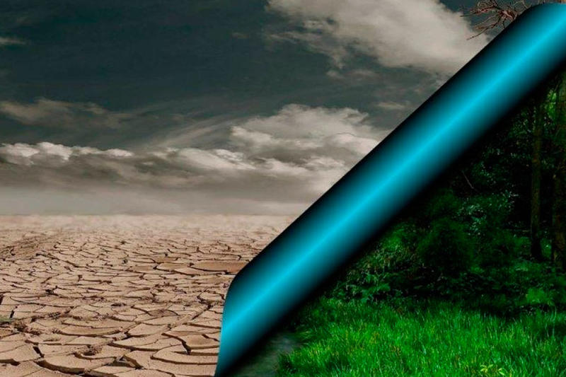 COP30: información y crisis climática, por Matheus Ribeiro Pereira COP30: información y crisis climática, por Matheus Ribeiro Pereira