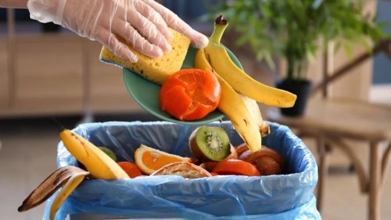 Capodanno a tavola e spreco alimentare: nel cestino dei rifiuti finiscono fino a 90 euro di cibo a famiglia