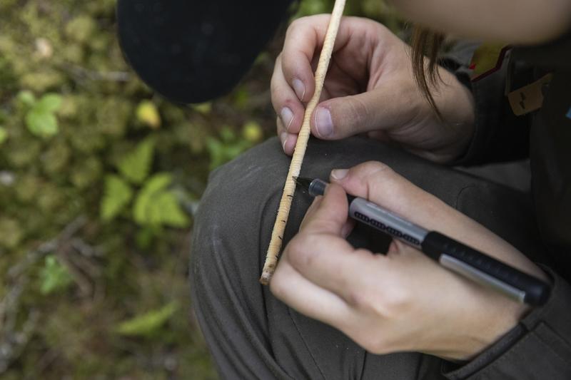 Metsiensuojelu | Valtion vanhojen metsien inventointiurakka huipentuu – Mitä tapahtuu yksityismetsissä? Metsiensuojelu | Valtion vanhojen metsien inventointiurakka huipentuu – Mitä tapahtuu yksityismetsissä?