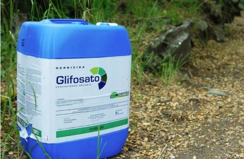 AL frente al glifosato: salud pública en riesgo