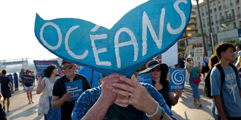 A Decisive Year for Ocean Conservation