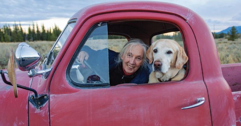 Keeping Jane Goodall's Magic and Hope Alive and Well Forever