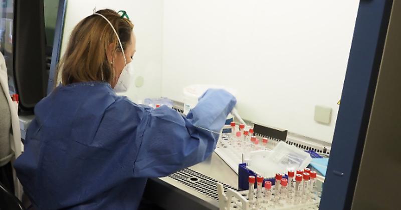 L'influenza stende 10mila umbri: incidenza raddoppiata in due settimane, aumentano i ricoveri