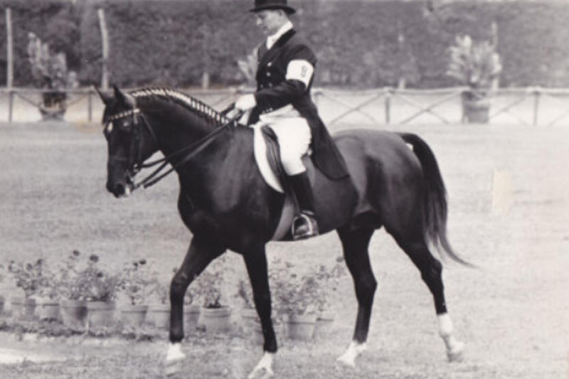 Рейтинг «самых-самых» лошадей: прожила 62 года, весила 9 кг, стоила 40 миллионов, разогналась до 88 км/час Рейтинг «самых-самых» лошадей: прожила 62 года, весила 9 кг, стоила 40 миллионов, разогналась до 88 км/час