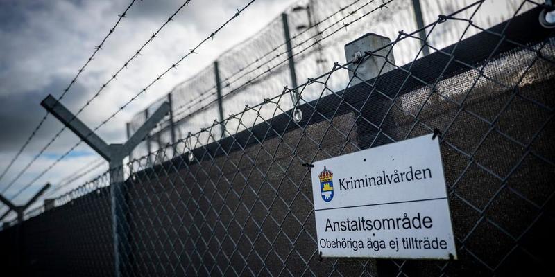 Kön är inte en social konstruktion Kön är inte en social konstruktion