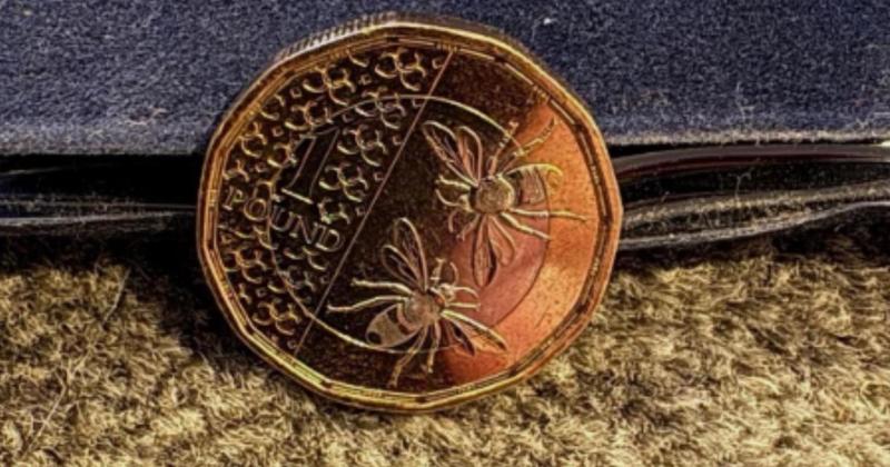 £1 coin for sale for more than £40,000 in Norwich